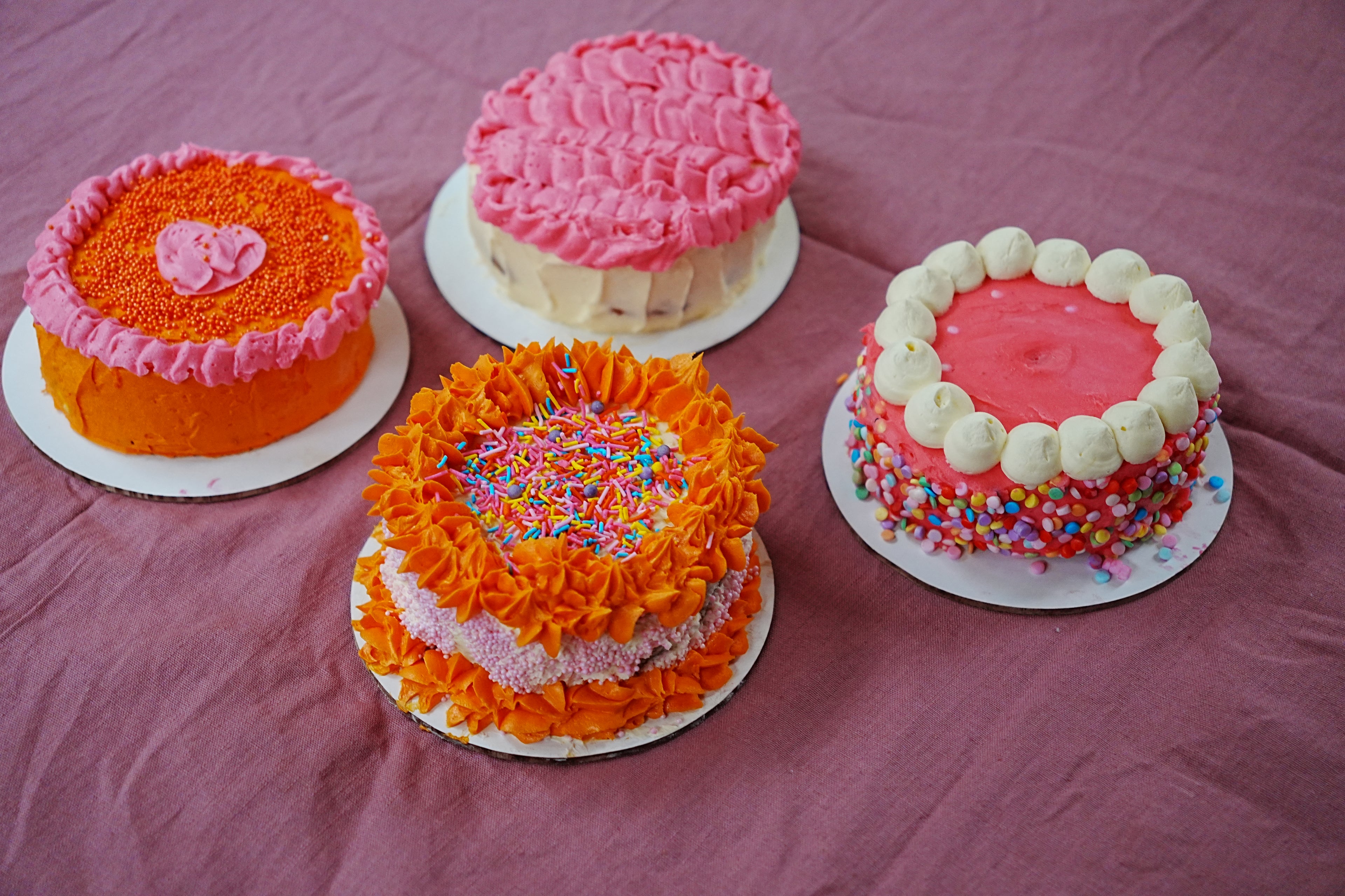 Four colorful cakes on a pink surface